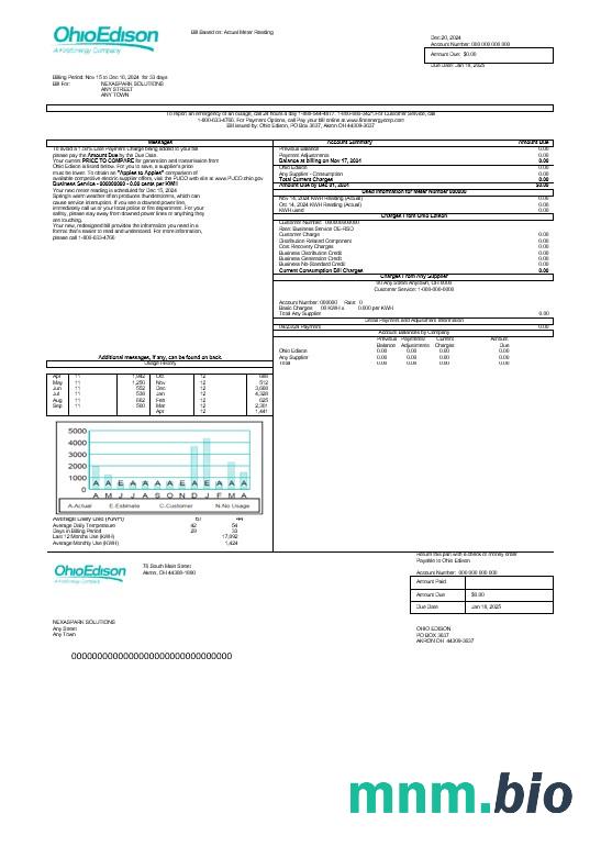 USA Ohio Edison rachunek za usługi komunalne słowo i szablon PDF